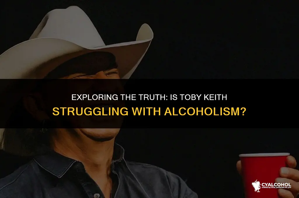 what is toby keith an alcoholic