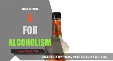 Understanding Triple A: A Holistic Approach to Alcoholism Recovery