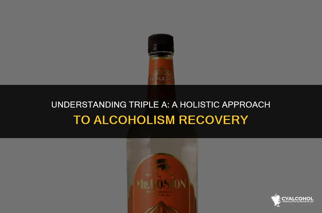 what is triple a for alcoholism