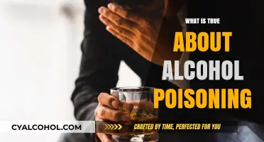 Unveiling the Myths: What's Truly Dangerous About Alcohol Poisoning