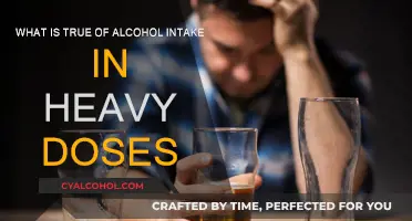 Heavy Drinking: Damaging Your Body and Mind