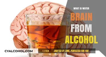 Understanding Water Brain: The Effects of Alcohol on Cognitive Function