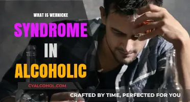 Understanding Wernicke Syndrome in Alcoholic Patients: A Comprehensive Guide