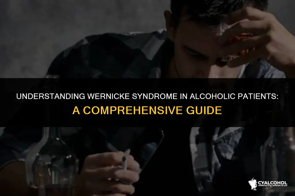 what is wernicke syndrome in alcoholic