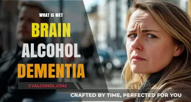 Understanding Wet Brain: The Impact of Alcohol Dementia
