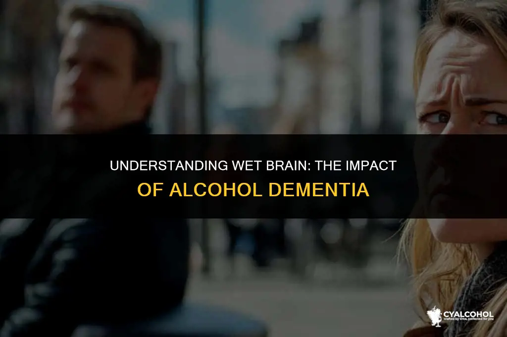 what is wet brain alcohol dementia