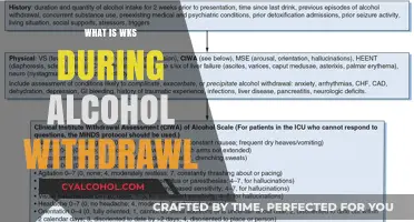 Understanding WKS: A Guide to Alcohol Withdrawal Seizures
