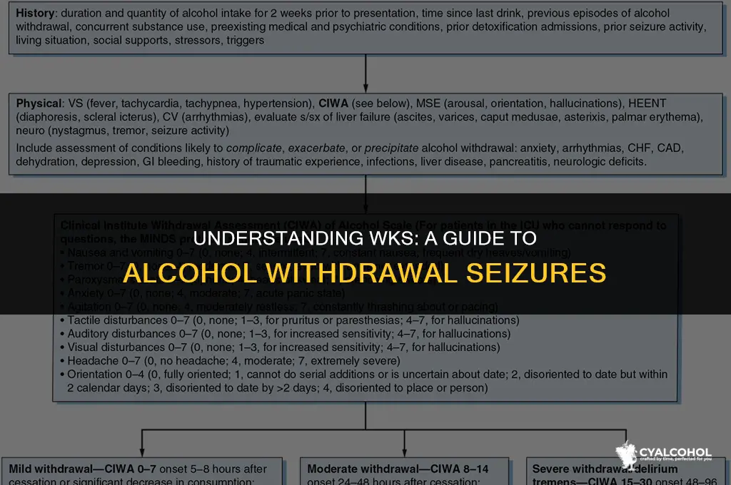 what is wks during alcohol withdrawl