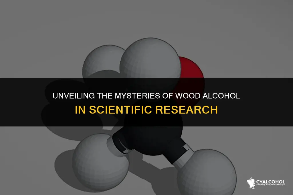 what is wood alcohol in science