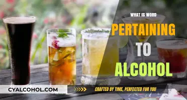 Exploring the Lexicon of Libations: A Guide to Alcohol-Related Terminology