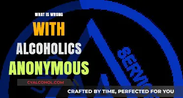 Unraveling the Controversies Surrounding Alcoholics Anonymous
