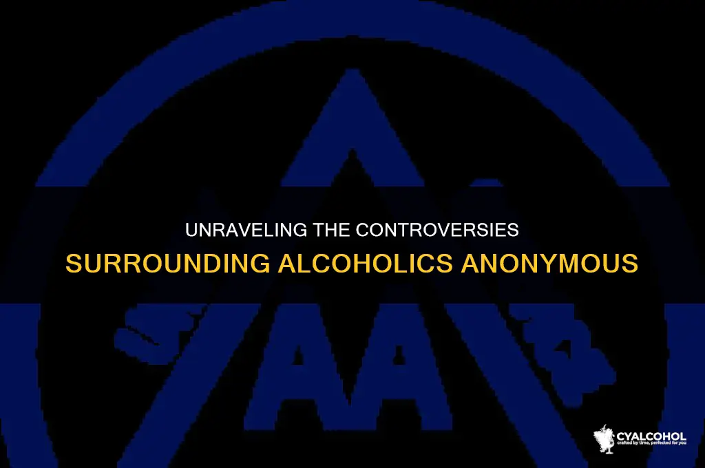 what is wrong with alcoholics anonymous