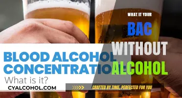 Exploring Your BAC: Understanding Blood Alcohol Concentration Without Alcohol