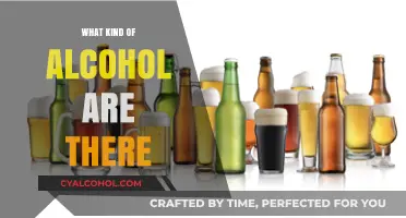 Exploring the Spectrum: Types of Alcohol and Their Uses