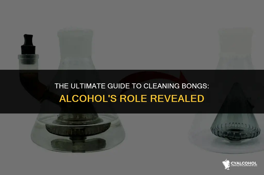 what kind of alcohol cleans bongs