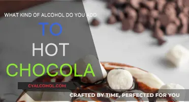 Hot Chocolate with a Kick: Alcoholic Mixology