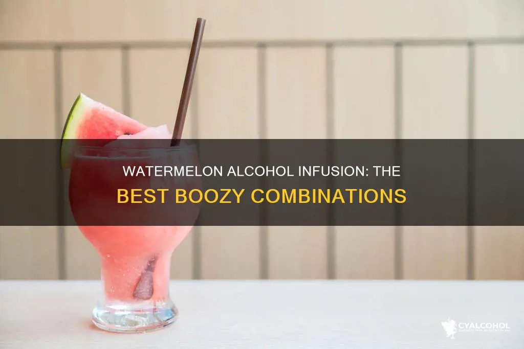 what kind of alcohol do you put in a watermelon