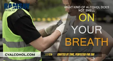 Alcohol Without Breath: What Drinks Don't Stink?