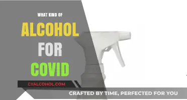 Choosing the Right Alcohol for COVID-19 Disinfection: A Guide