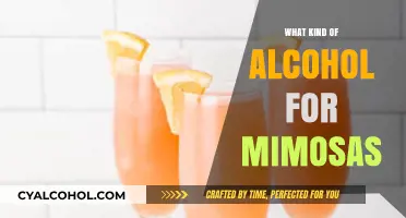 Mimosa Magic: The Perfect Alcohol Pairings for Your Brunch Favorite