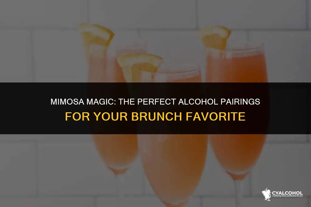 what kind of alcohol for mimosas