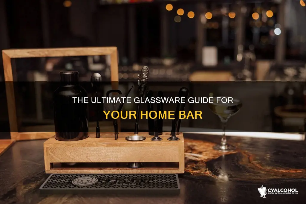 what kind of alcohol glasses to have at home