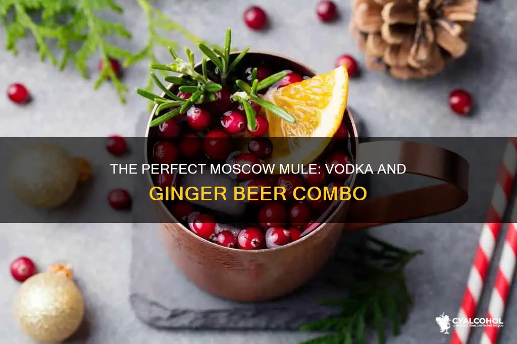 what kind of alcohol goes in a moscow mule