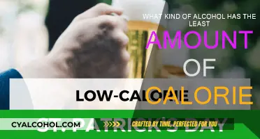 Low-Calorie Alcoholic Drinks: Smart Choices