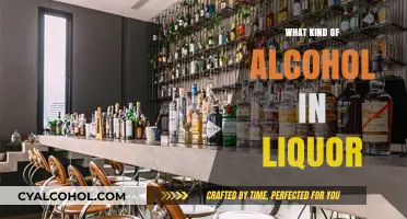 Exploring the Spectrum: Types of Alcohol in Liquor