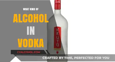 Exploring the Spirits: What Kind of Alcohol is in Vodka?