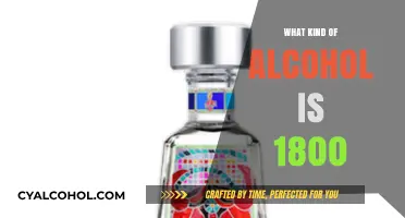Exploring the Rich History and Flavor Profile of 1800 Tequila