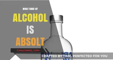 Exploring Absolut: A Comprehensive Guide to This Popular Vodka Brand