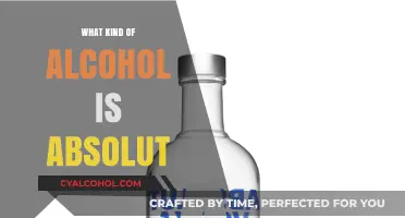 Exploring Absolut: A Comprehensive Guide to This Popular Vodka Brand