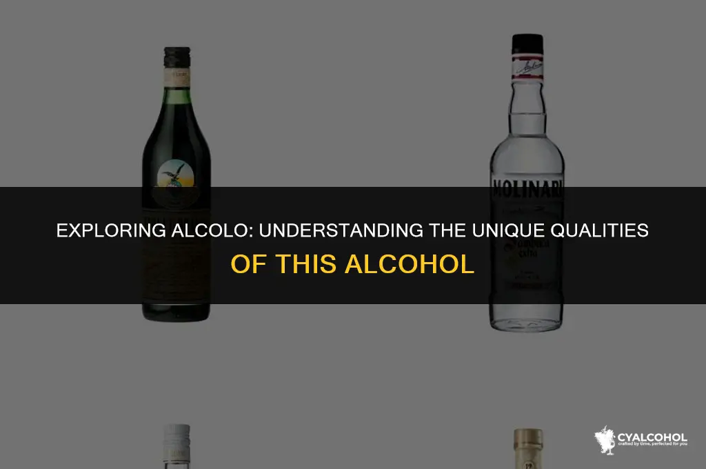 what kind of alcohol is alcolo