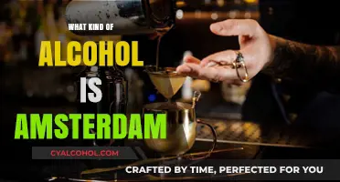 Exploring Amsterdam's Unique Alcohol Scene: A Local's Guide