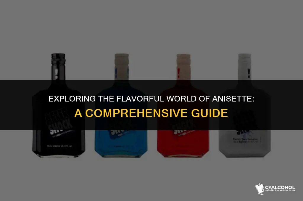 what kind of alcohol is anisette