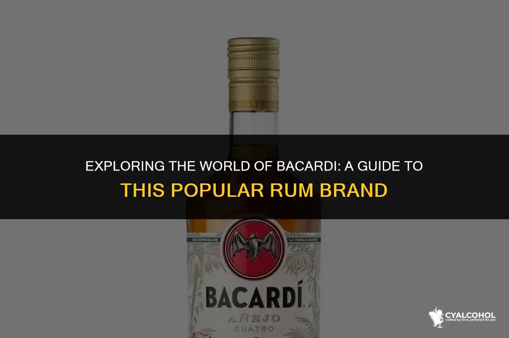 what kind of alcohol is barcardi