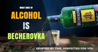 Exploring Becherovka: The Unique Czech Herbal Liqueur