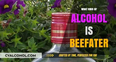 Exploring Beefeater: A Comprehensive Guide to This Iconic Gin Brand