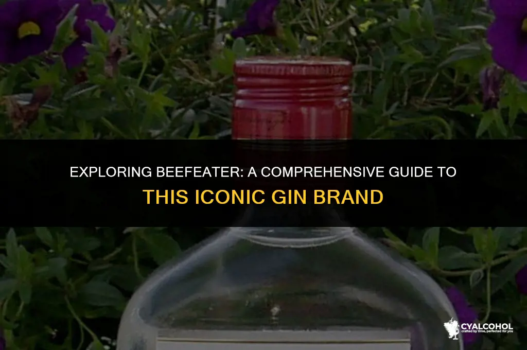 what kind of alcohol is beefater
