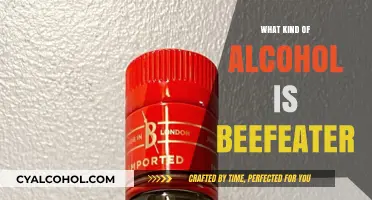 Exploring Beefeater: A Comprehensive Guide to This Iconic Gin Brand