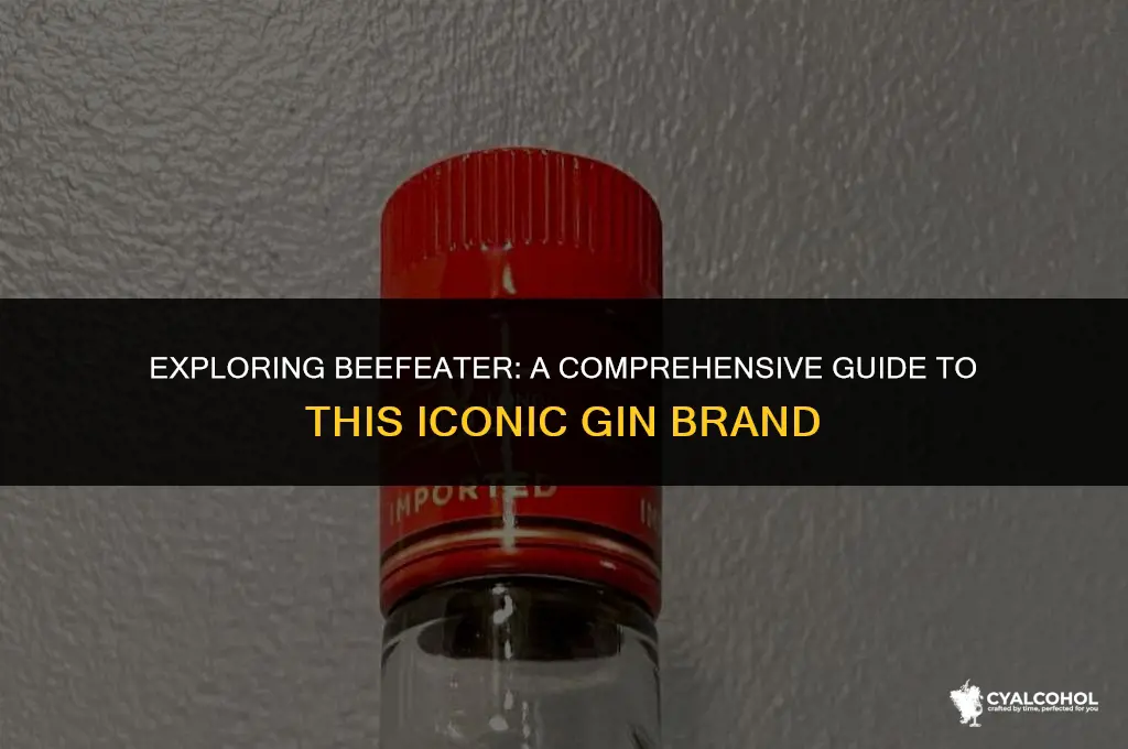 what kind of alcohol is beefeater