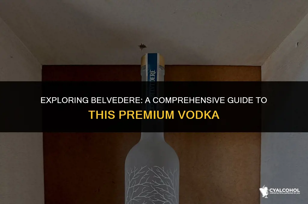what kind of alcohol is belvedere