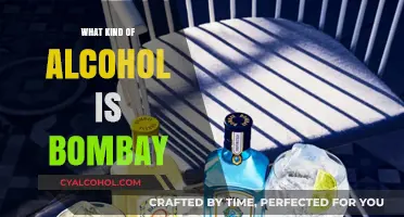 Exploring Bombay: A Guide to the Iconic Indian Spirit