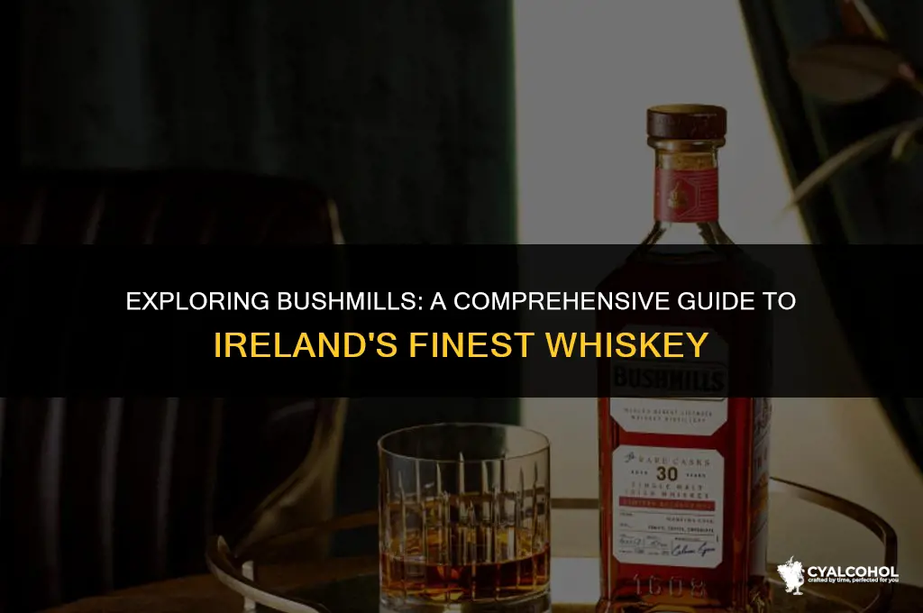 what kind of alcohol is bushmills