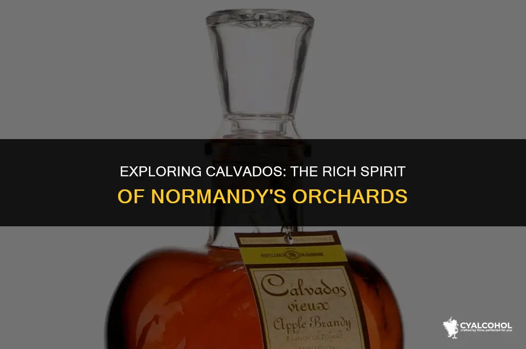 what kind of alcohol is calvados