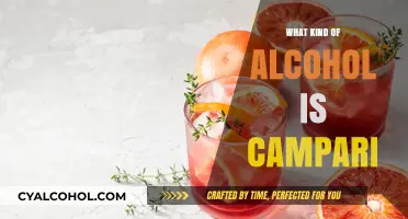 Exploring Campari: The Bitter Italian Spirit That Elevates Cocktails