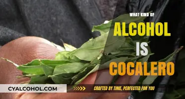 Exploring Cocalero: A Unique Bolivian Spirit Made from Coca Leaves