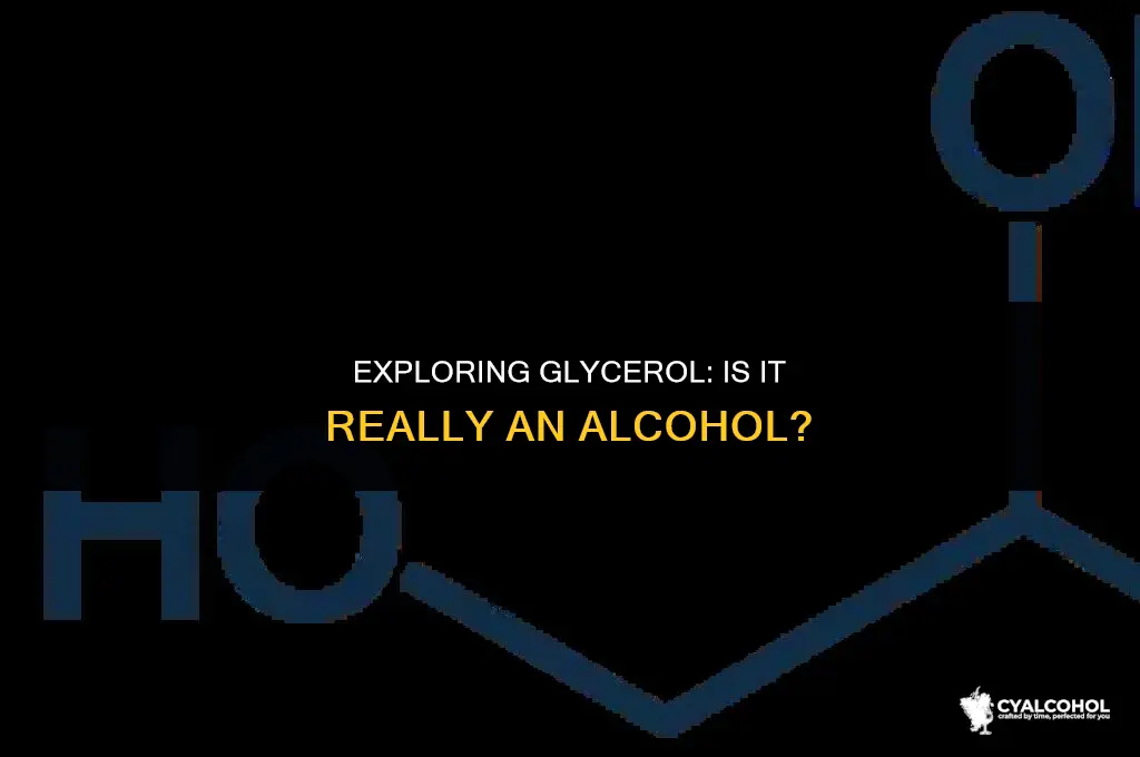what kind of alcohol is glycerol