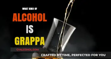 Exploring Grappa: Italy's Robust Grape-Based Spirit Unveiled
